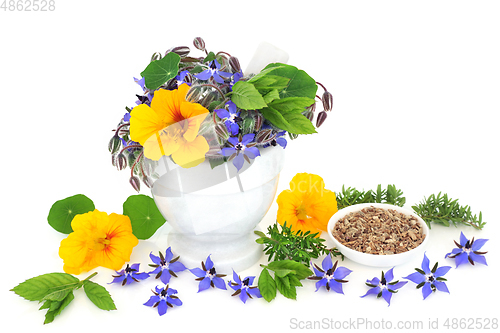 Image of Herbal Medicine for Cold and Flu Remedy