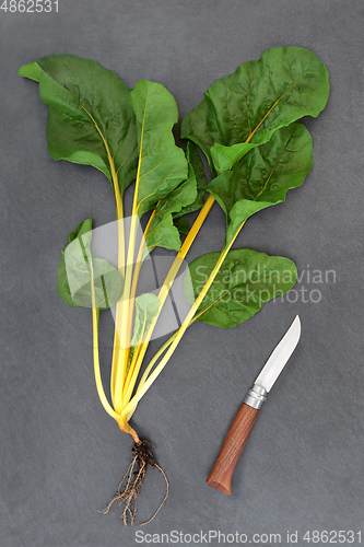 Image of Yellow Swiss Chard Healthy Vegetable Preparation