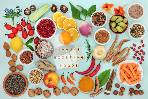 Image of Immune Boosting Vegan Food for Good Health 