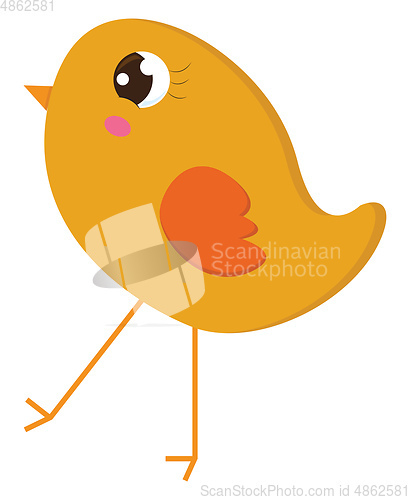 Image of A small yellow chick vector or color illustration