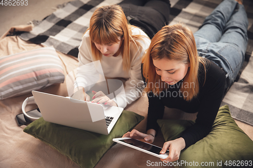 Image of Young friends, women using gadgets to watch cinema, photos, online courses, taking selfie or vlog, top view