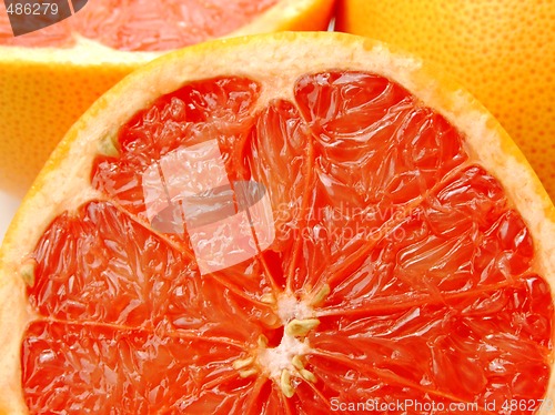 Image of Ruby grapefruit