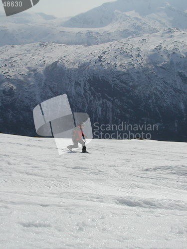 Image of Telemark skier