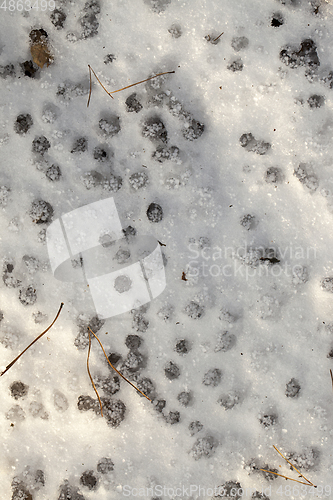 Image of snow with drops