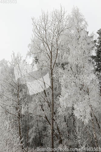 Image of winter landscape