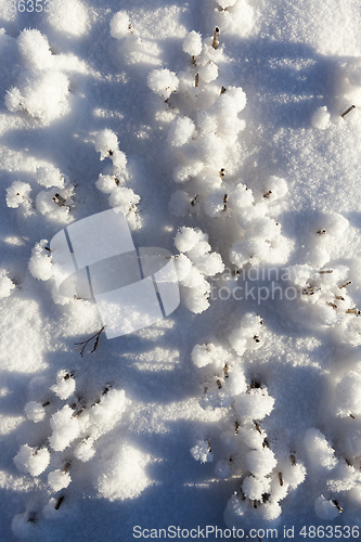 Image of Stubble field