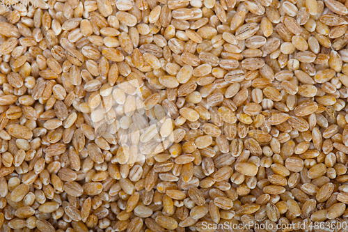 Image of organic barley grains