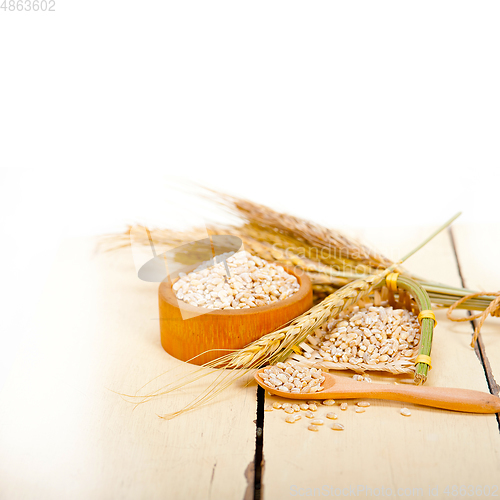 Image of organic wheat grains