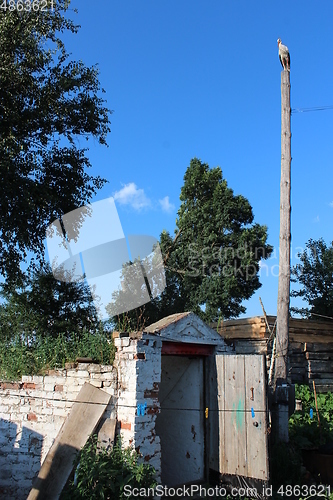 Image of stork standing on the rural telegraph-pole above the cellar