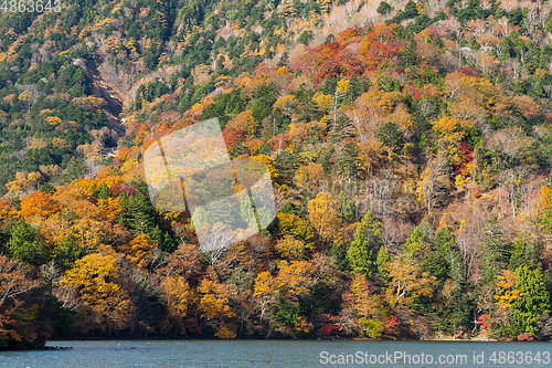 Image of Autumn Landscape