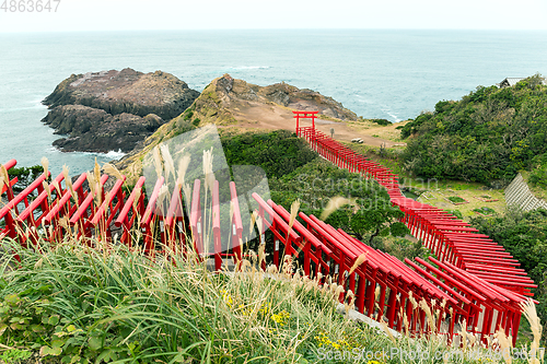 Image of Motonosumiinari Shrine with row of Torii