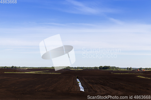 Image of landscape in summer