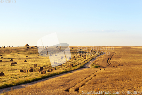 Image of agricultural field