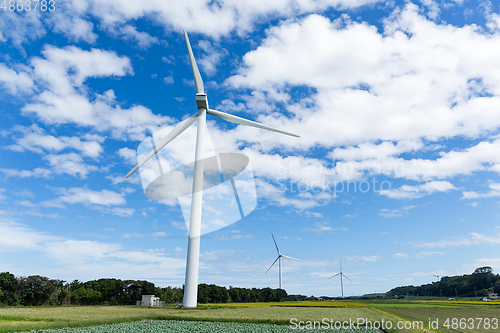 Image of Wind turbine farm and field