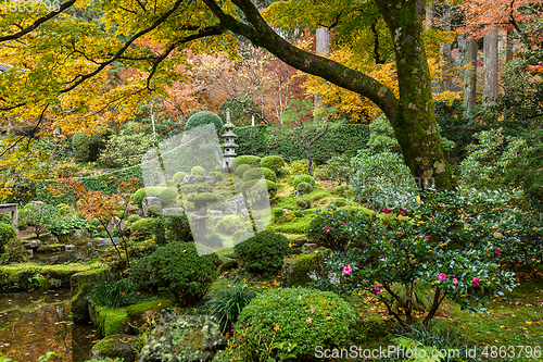 Image of Beautiful Japanese garden in autumn season