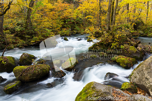 Image of Japanese Oirase Mountain Stream in autumn season