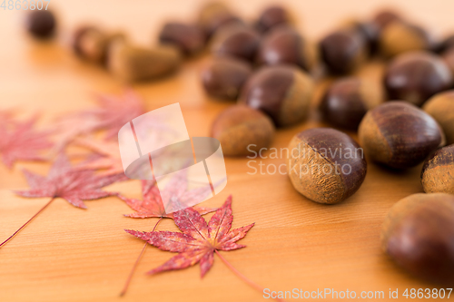 Image of Pile of chestnuts and maple leaves