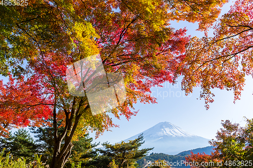 Image of Autumn Season and Mountain Fuji 