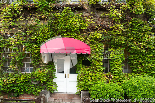 Image of Plant and door gate