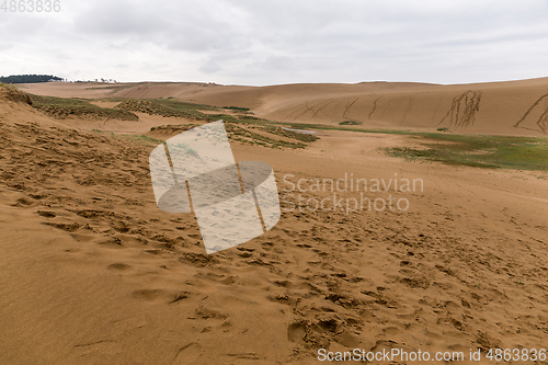 Image of Tottori sand dunes