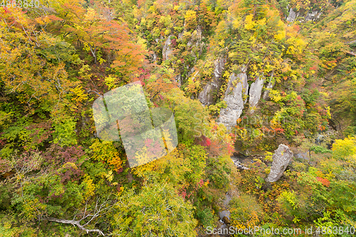 Image of Naruko Gorge International Park with colorful autumn leaf in Jap