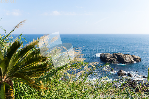 Image of Coastline in Nichinan Kaigan Quasi National Park