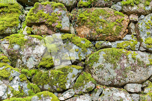 Image of Brick wall with moss