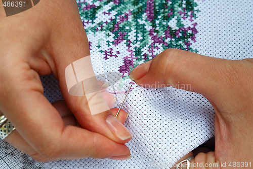 Image of Fine needlework