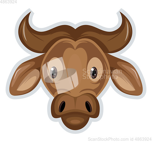 Image of Buffalo, vector color illustration.