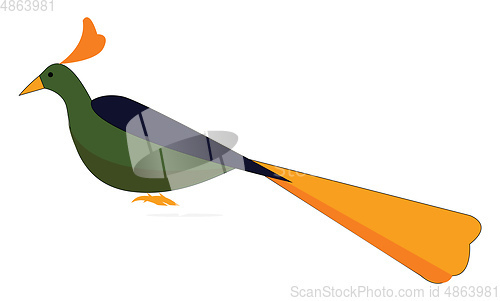 Image of A cute little multi-colored elegant peacock vector or color illu