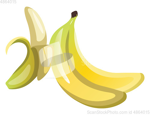 Image of Yellow pealed bananas cartoon fruit vector illustration on white