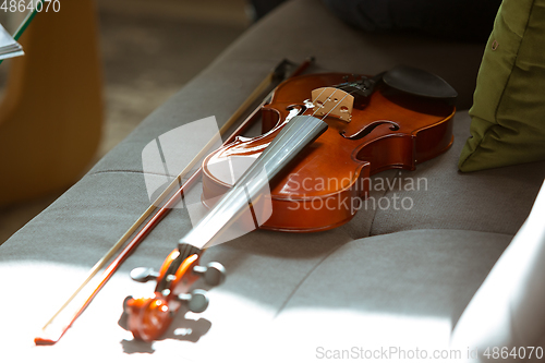 Image of Close up shoot of violin lying on sofa in sunlight, hobby and music concept