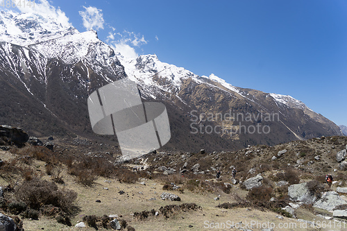 Image of Langtand valley trekking mountain in Nepal 