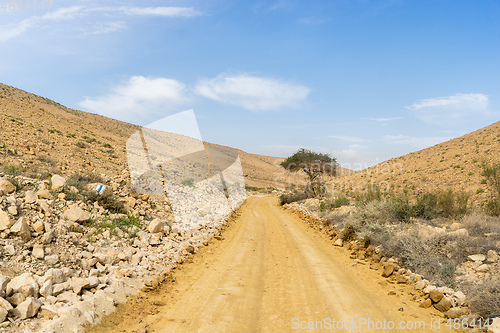 Image of Desert trekking in Israel