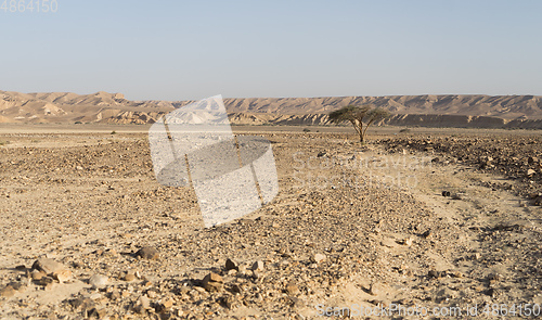 Image of Desert trekking in Israel