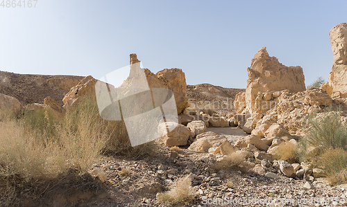 Image of Desert trekking in Israel