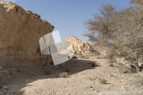 Image of Desert trekking in Israel