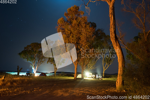 Image of Night camping in a forest
