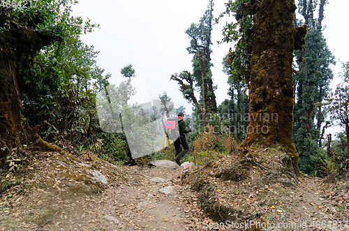 Image of Backpakers in Nepal jungle trek