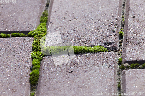Image of old Bricks and grass