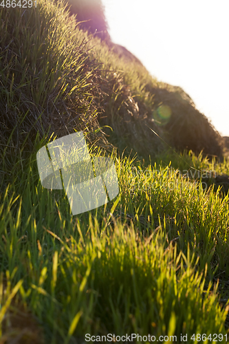 Image of Roll of Straw