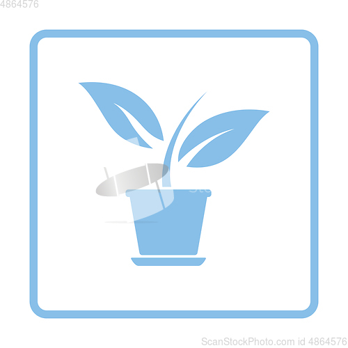 Image of Plant in flower pot icon