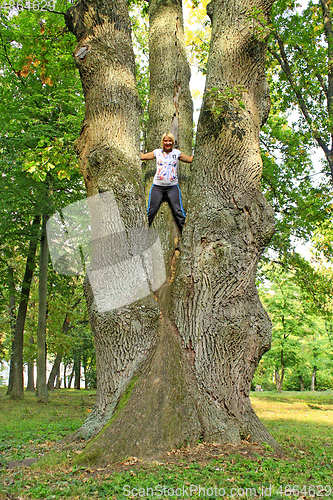 Image of Woman standing on big tree. Gay garl standing high on trunk