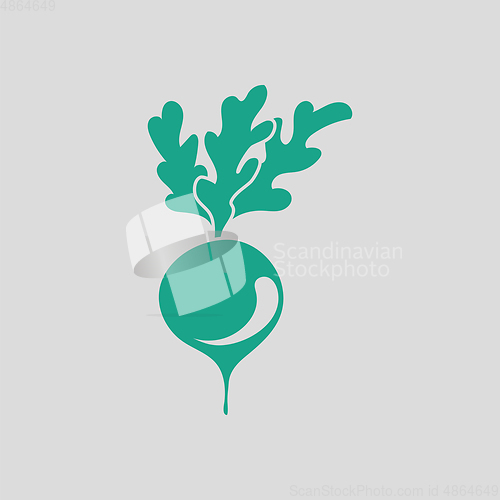Image of Radishes icon