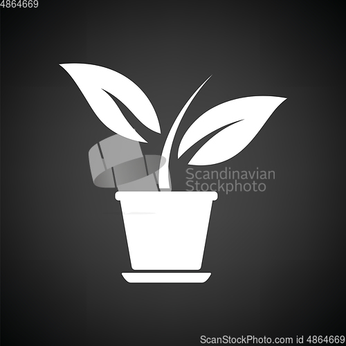 Image of Plant in flower pot icon