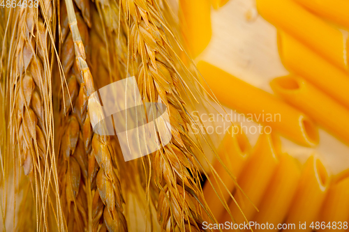 Image of Italian pasta penne with wheat