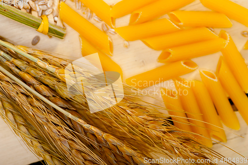 Image of Italian pasta penne with wheat