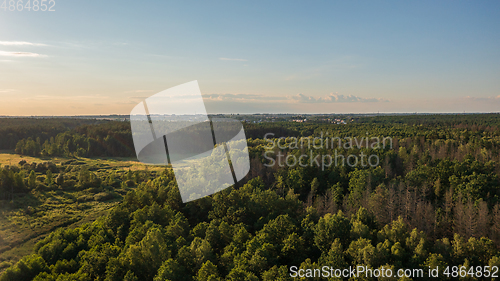 Image of Polish part of Bialowieza Forest to east