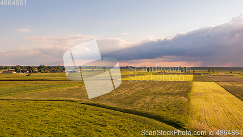 Image of Meadow with trees landscape from aerial