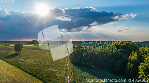 Image of Field with trees landscape from aerial